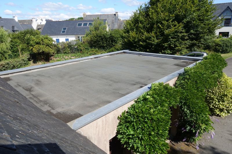 House Roof Repair detail